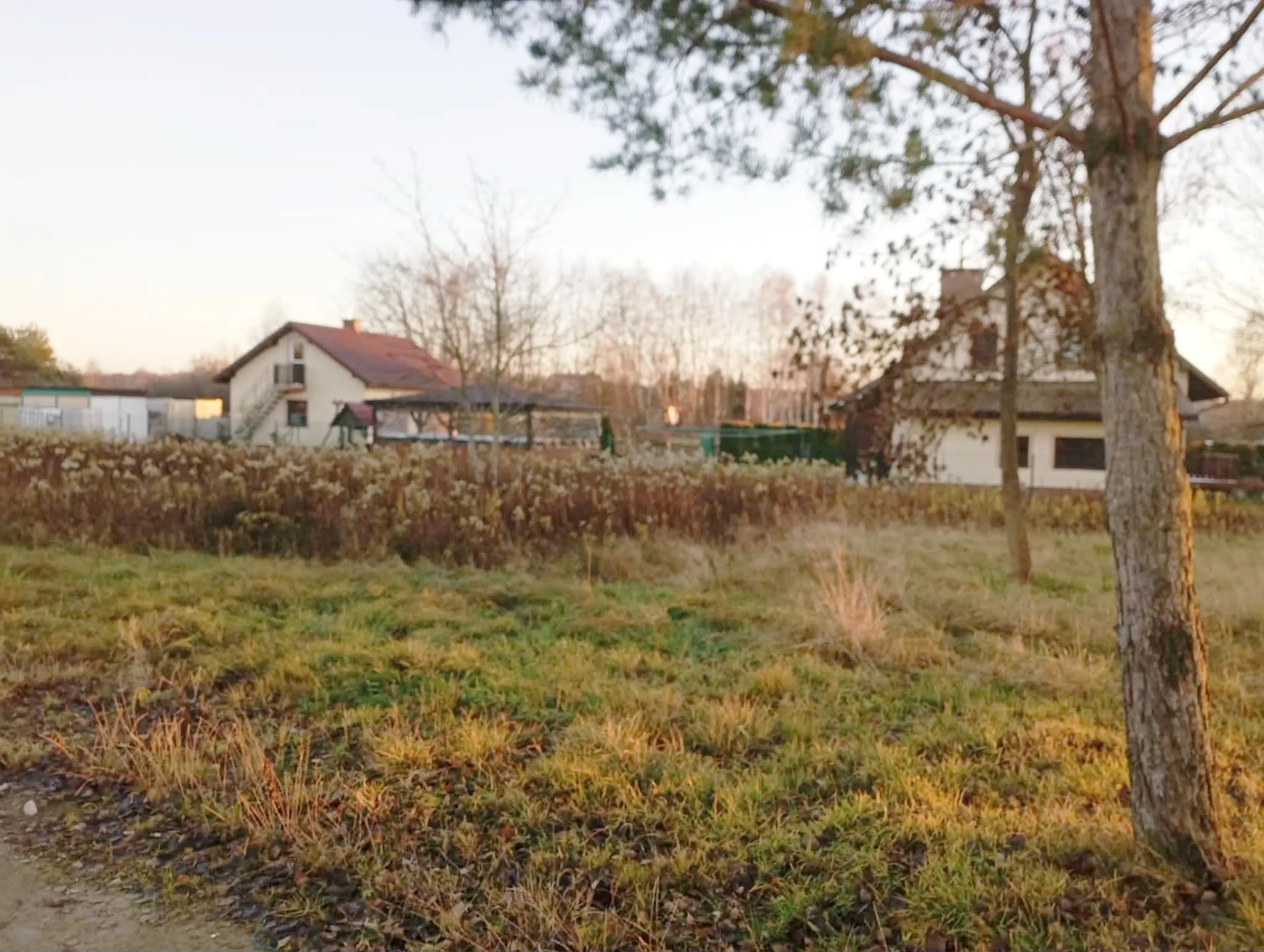 Zdjęcie 11
