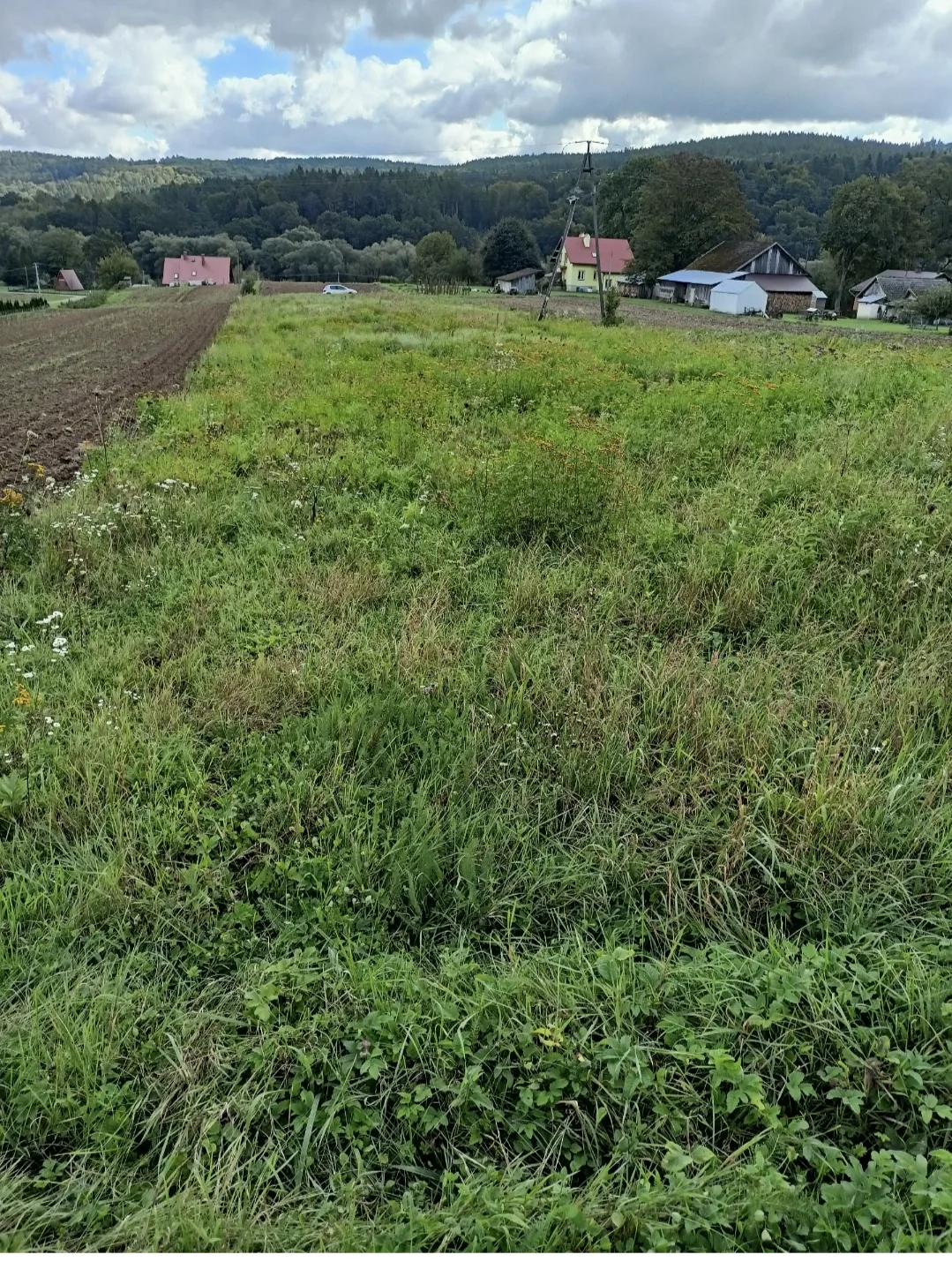 Działka budowlana, warunki zabudowy, Słonne k. Dubiecka