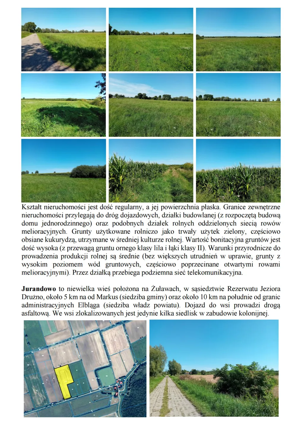 Syndyk sprzeda udziały w grunatach Żurawiec, Żółwiniec, Jura