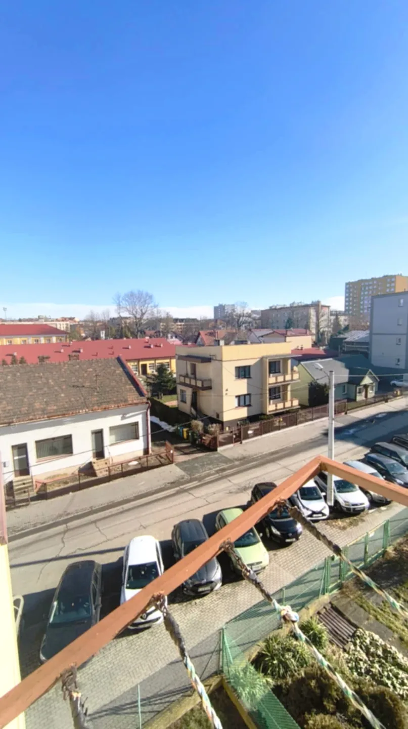 Zdjęcie 12