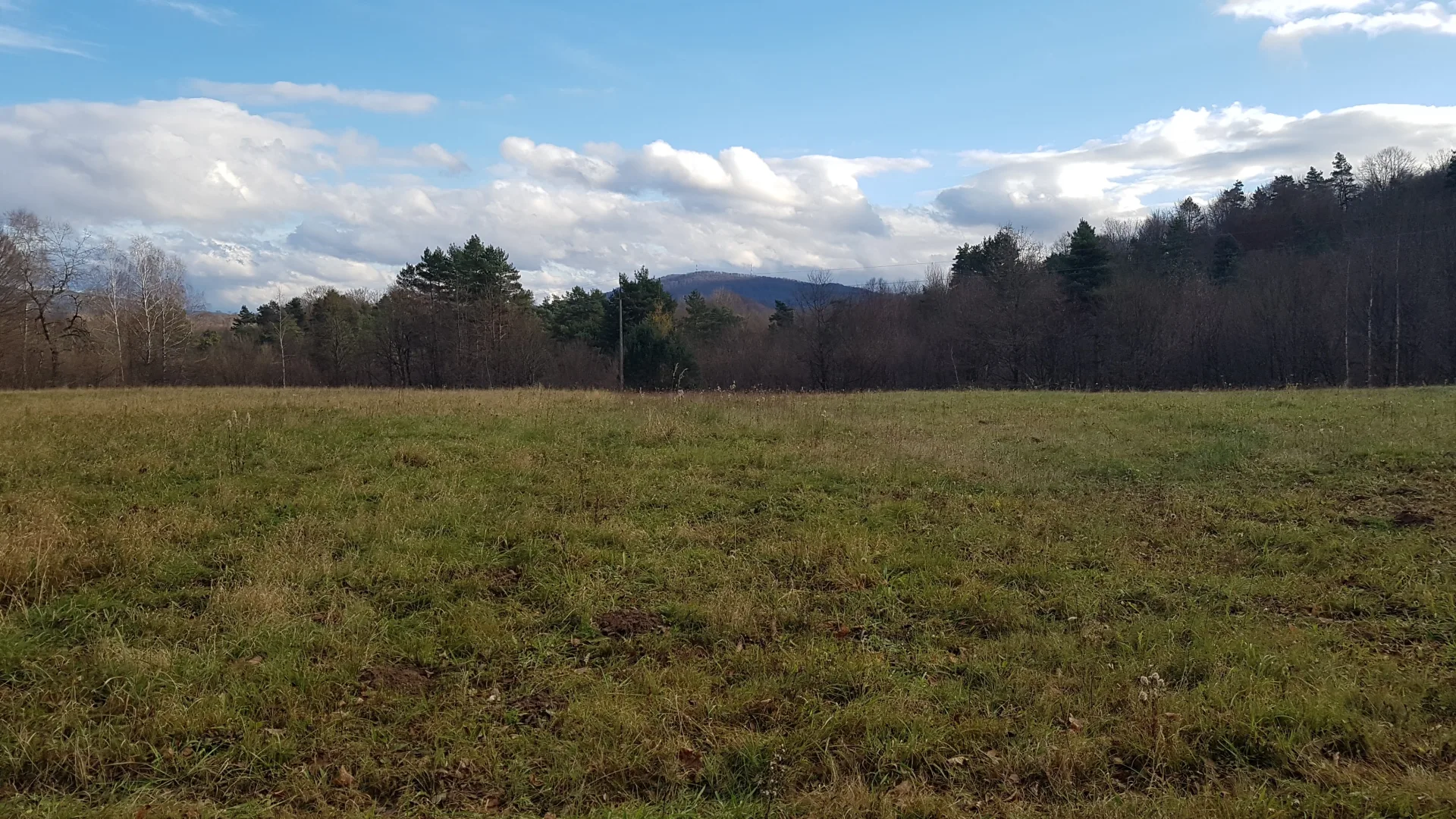 Uzbrojona działka widokowa na wzgórzu w Bieszczadach – 3 min od Soliny + własny las!