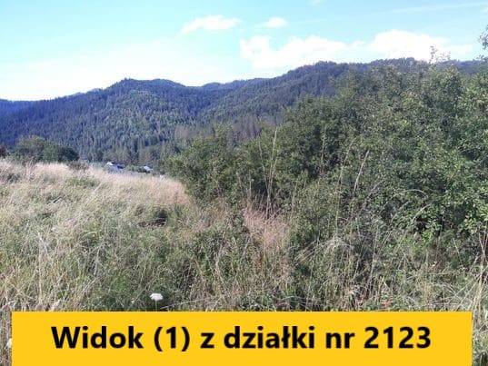 Sprzedam działkę w Szczawnicy, ul. Sopotnicka