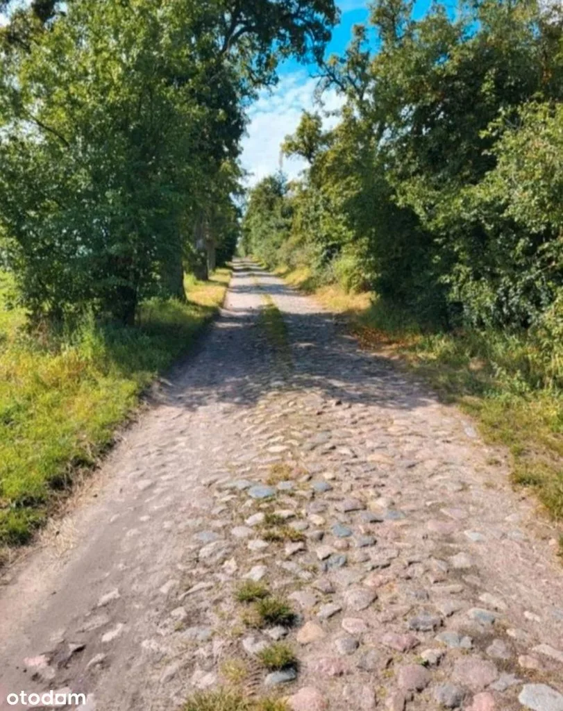 Duża działka budowlana nad jeziorem blisko granicy Niemiec