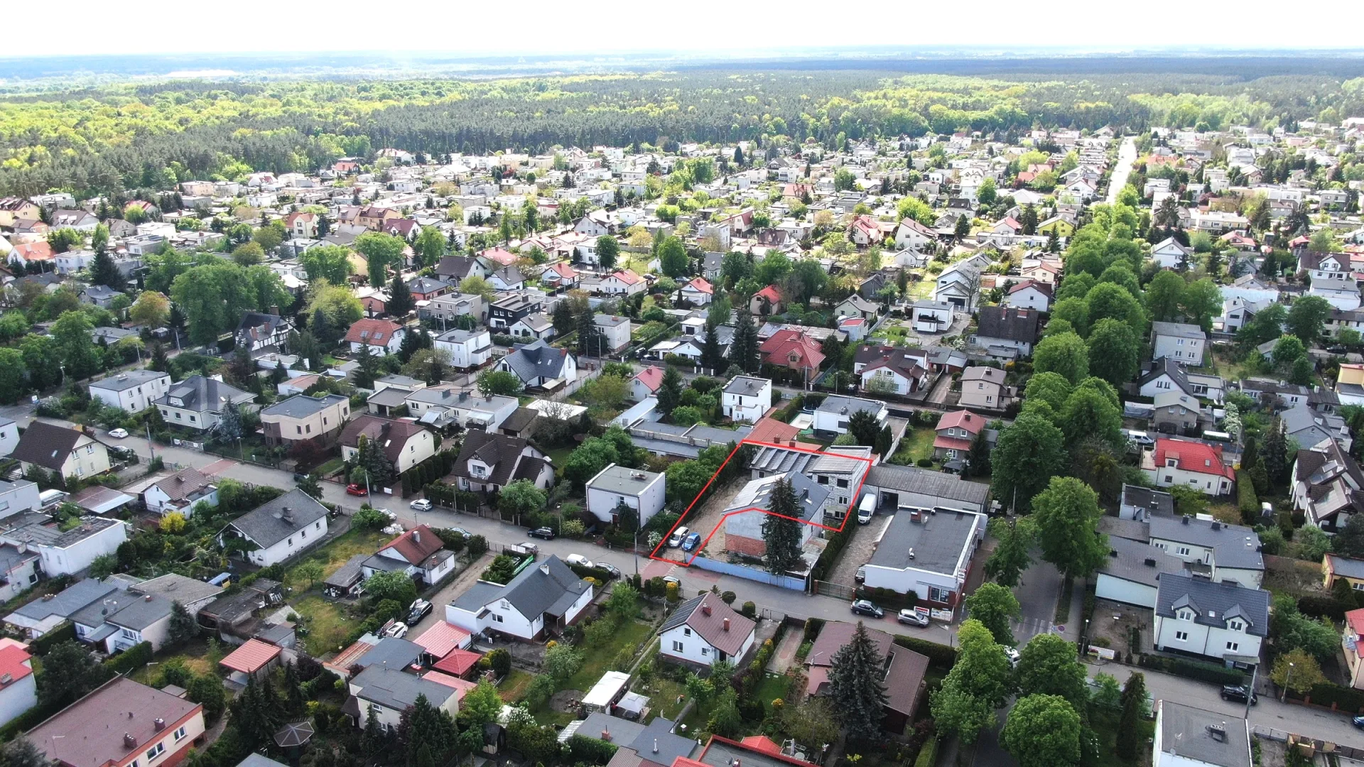 Zdjęcie 12