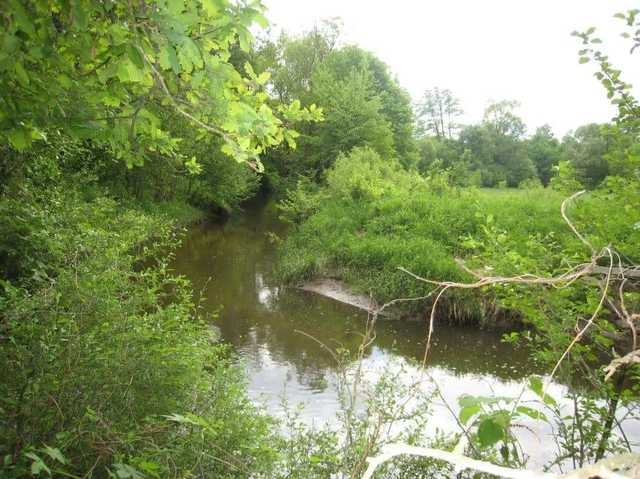 Działkę rekreacyjną sprzedam