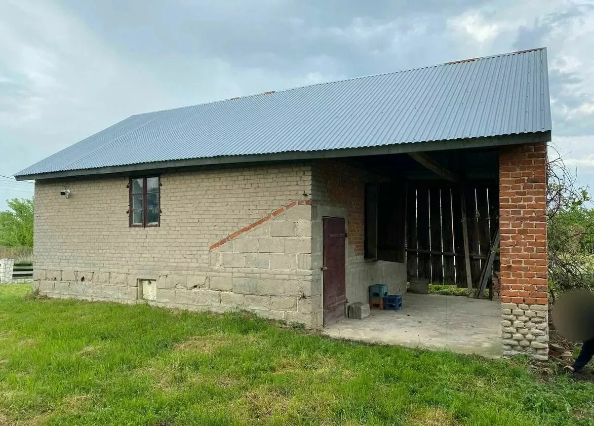 Zdjęcie 12