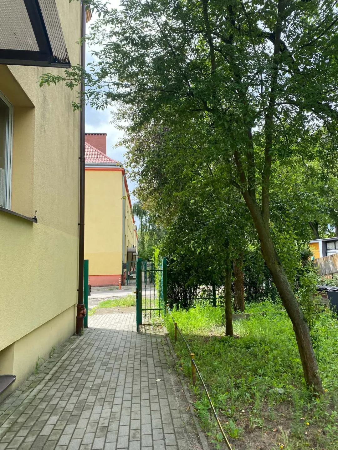 Zdjęcie 11