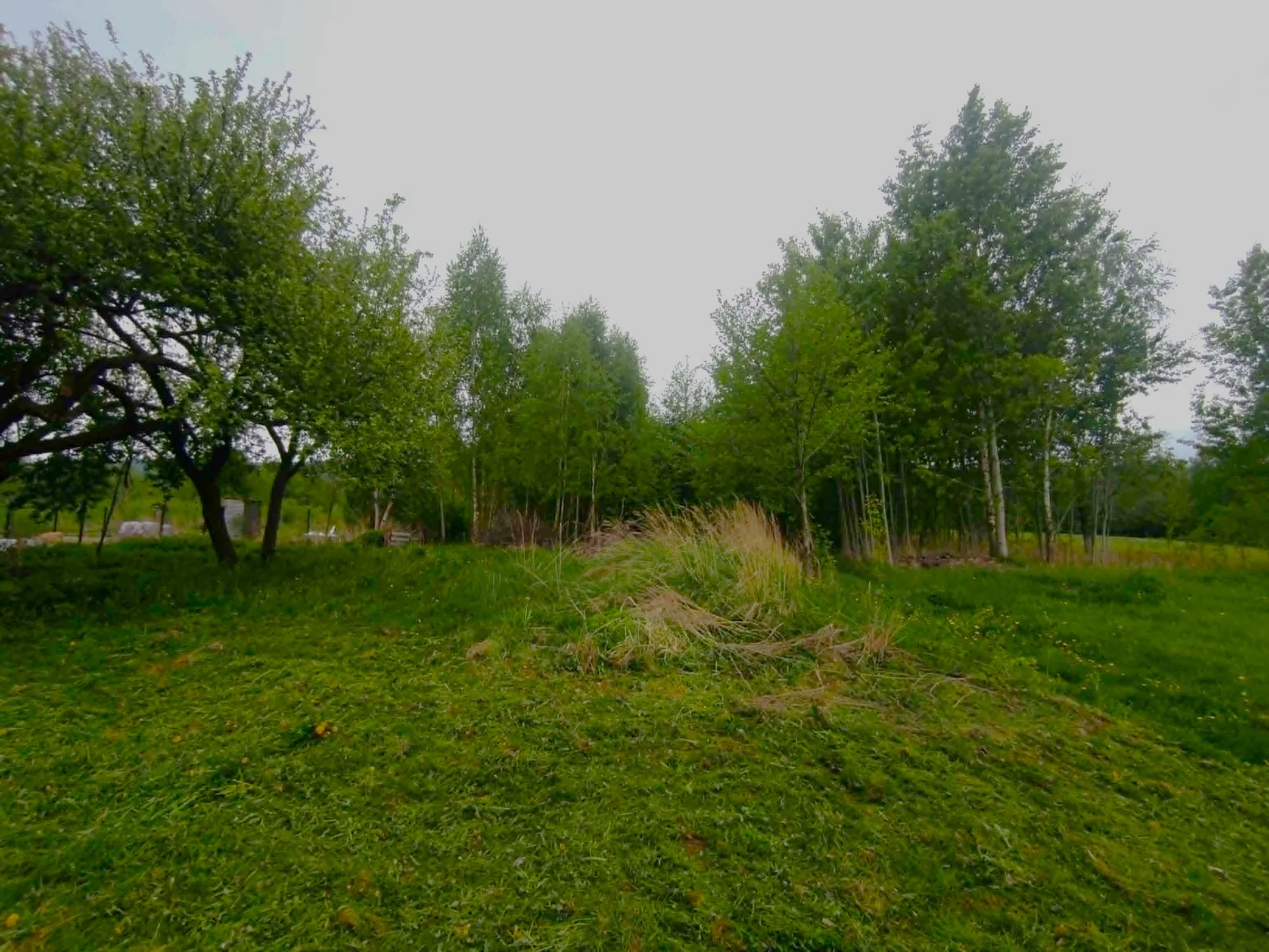 Zdjęcie 6
