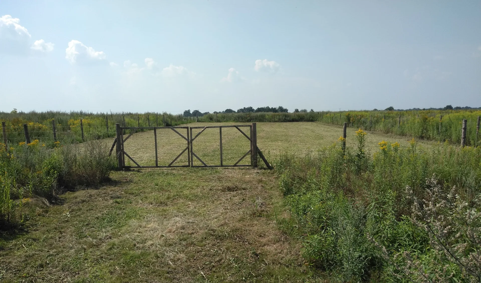 Zdjęcie 18