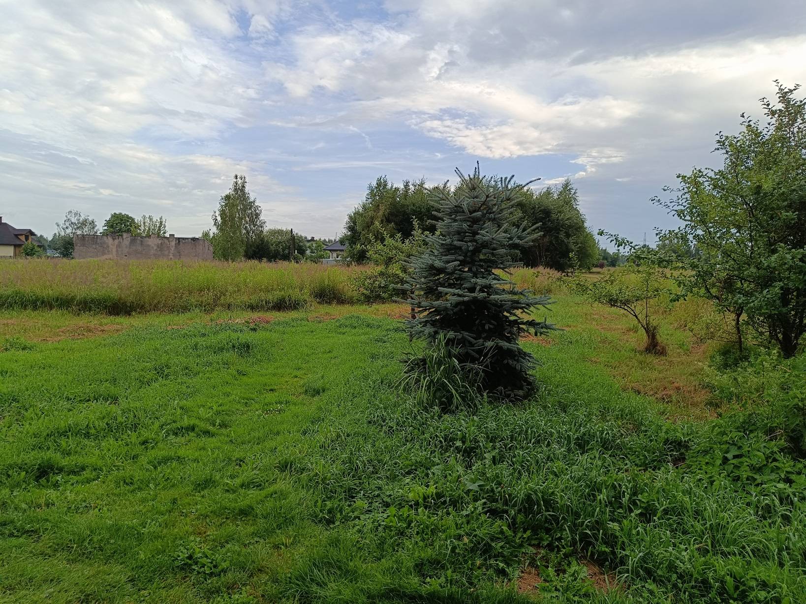 Działka Włodzimierzów 2427m2 150zł/m2