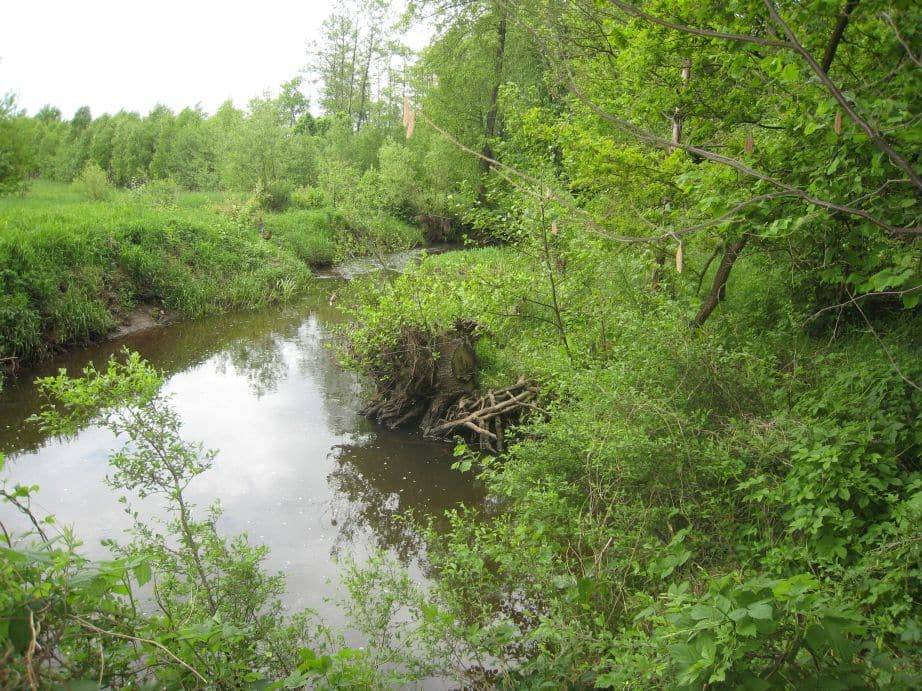 Działkę rekreacyjną sprzedam