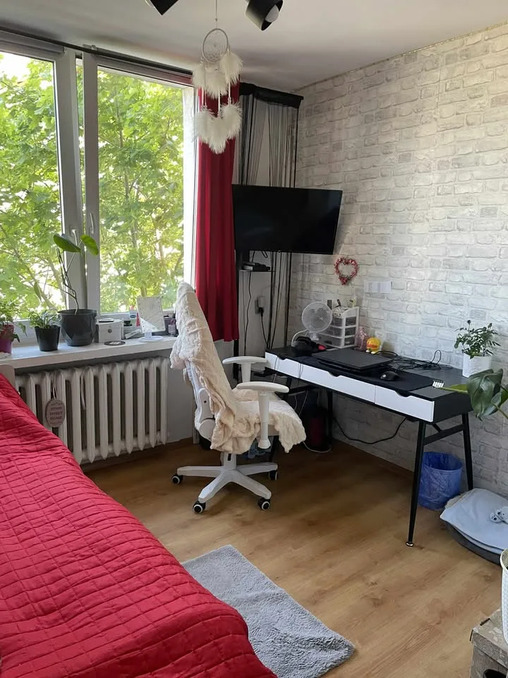 Zdjęcie 13
