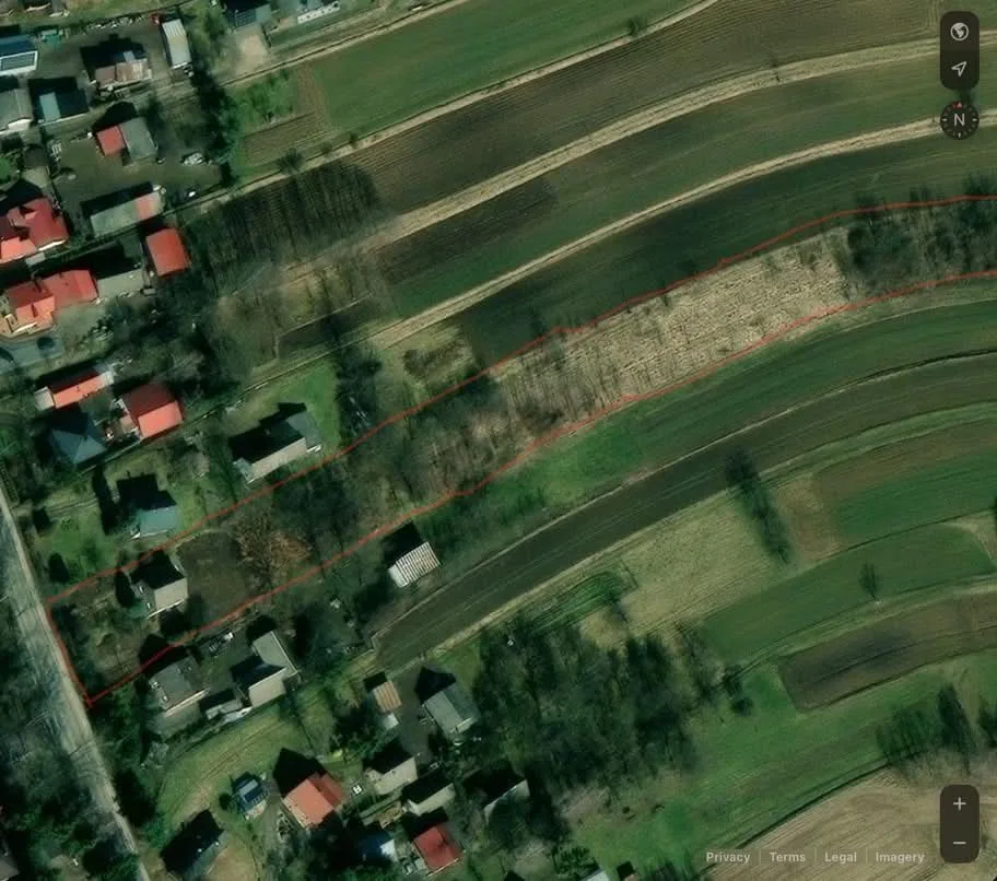 Zdjęcie 6