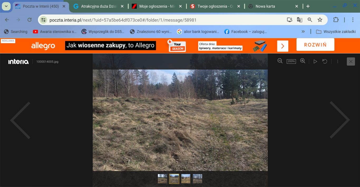 Duża Działka budowlana z małym własnym parkiem