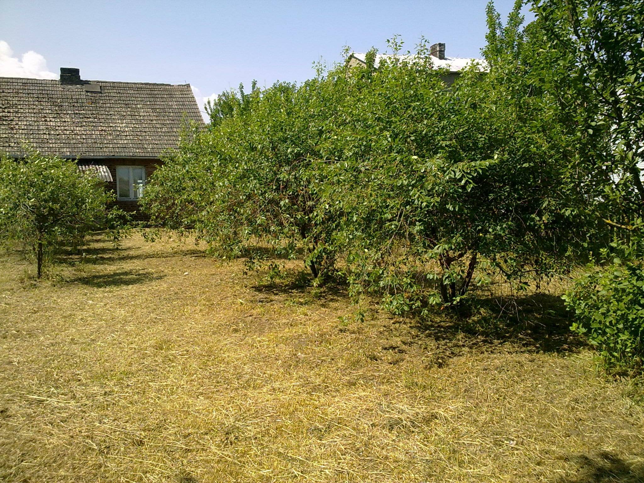 siedlisko - działka 4573 m2, gmina Rajgród