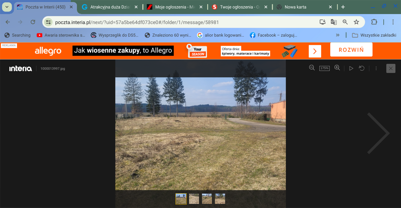 Duża Działka budowlana z małym własnym parkiem