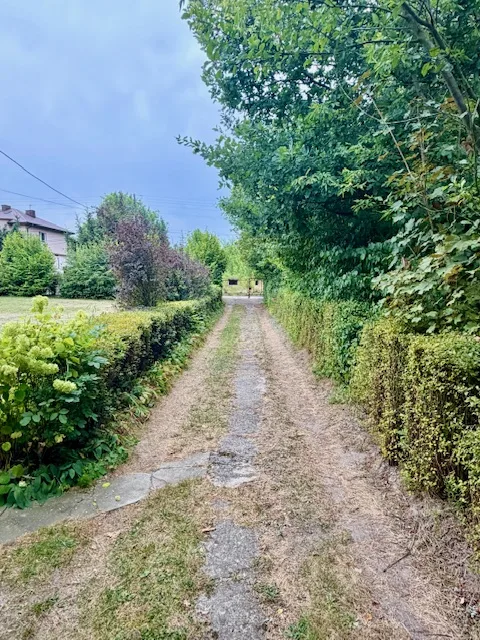 Zdjęcie 6