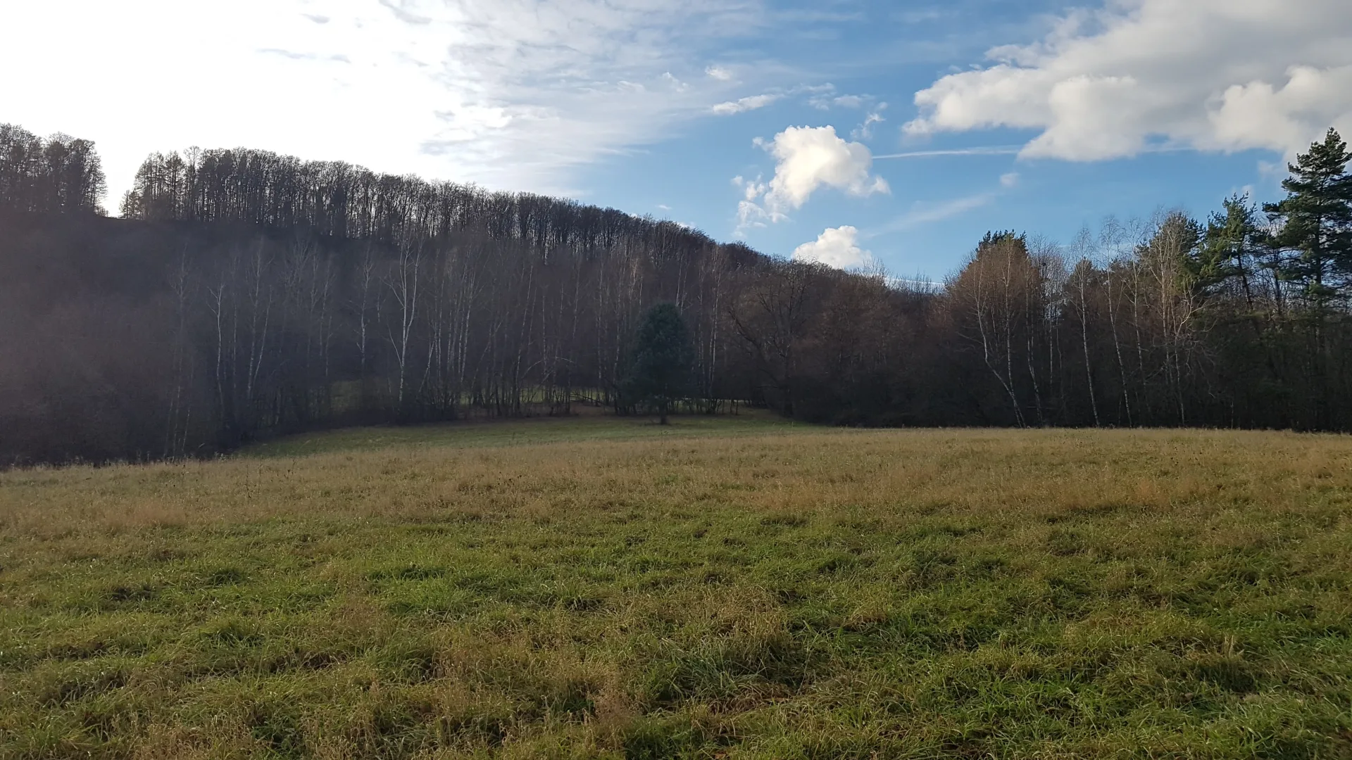 Uzbrojona działka widokowa na wzgórzu w Bieszczadach – 3 min od Soliny + własny las!