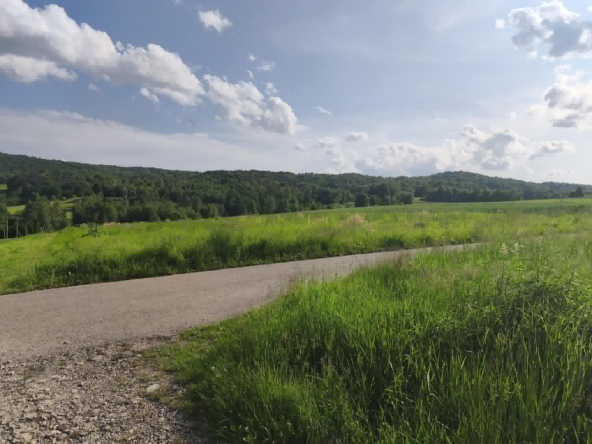 Lipnica Dolna - 7 hektarów 33 ary