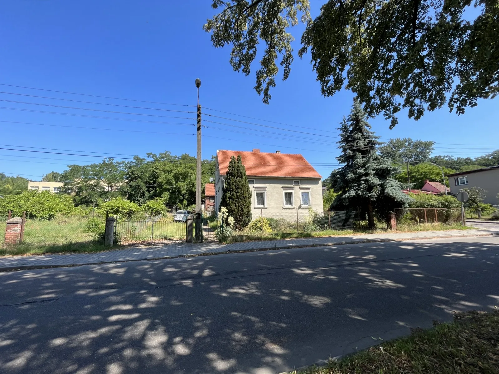 Zdjęcie 19
