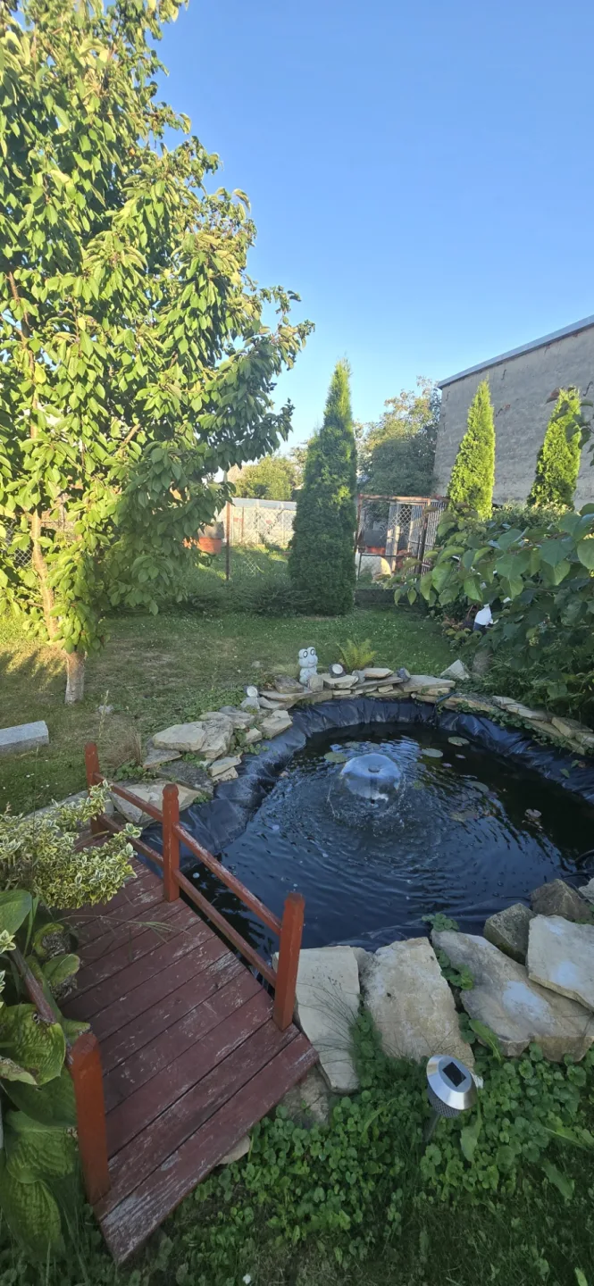 Zdjęcie 7