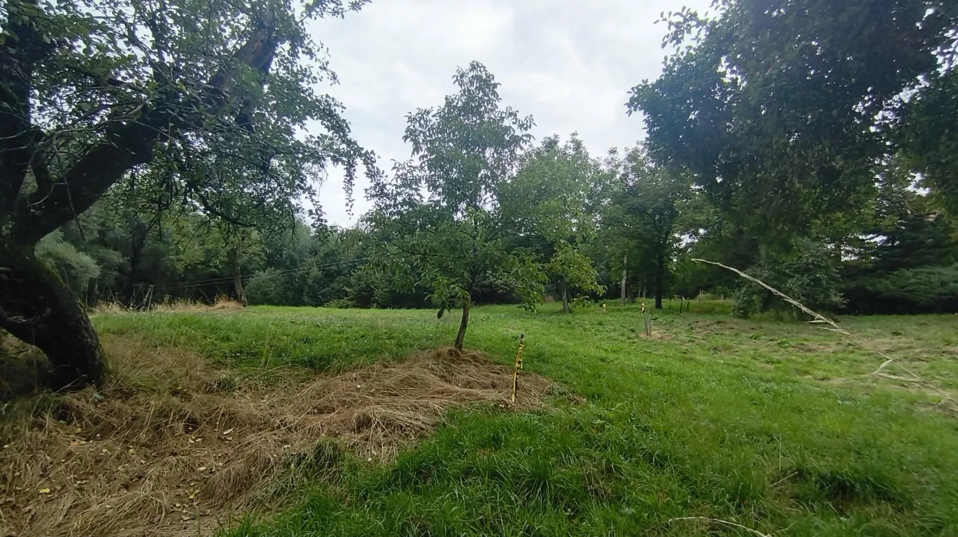 Działka budowlana -Janowice, powiat tarnowski, gm. Pleśna
