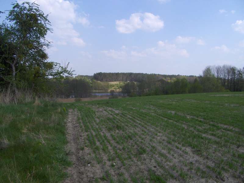 dwie duże działki nad jeziorem, blisko miasta