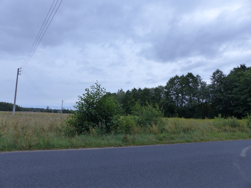 Działki rolne z warunkami zabudowy