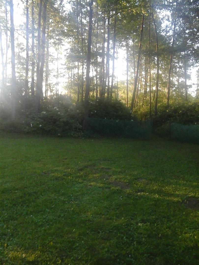 Mazurska działka nad jeziorem Strzelniki z domkiem letniskowym