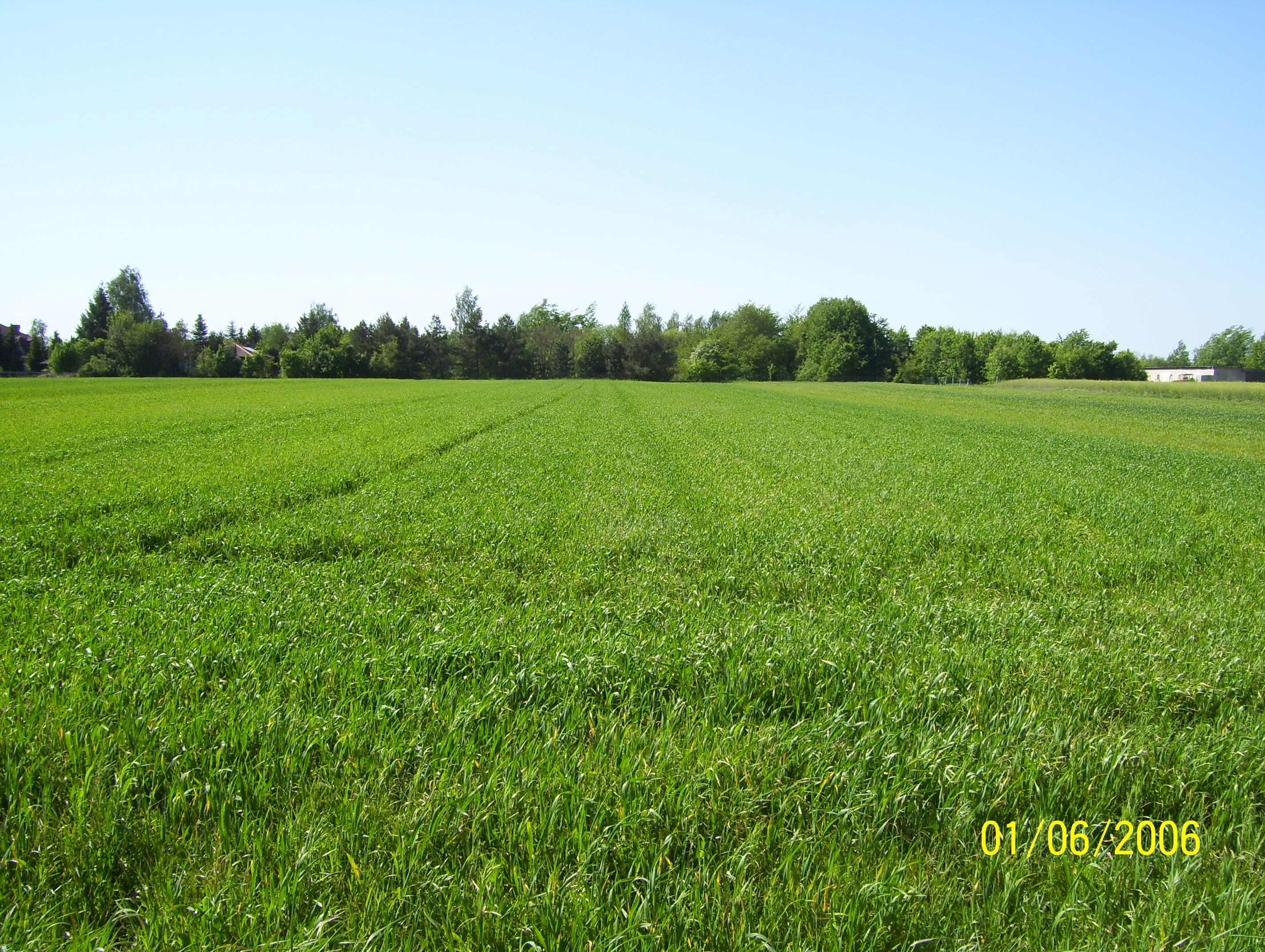 działki budowlane w Gałowie