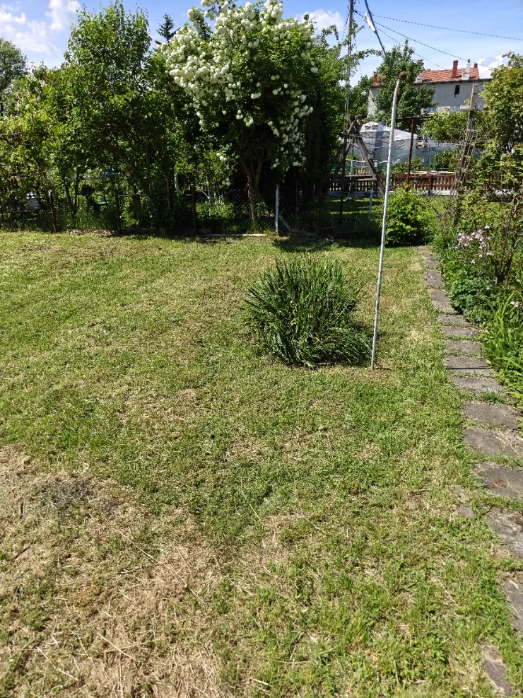 Zdjęcie 15