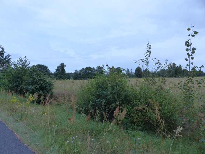 Działki rolne z warunkami zabudowy