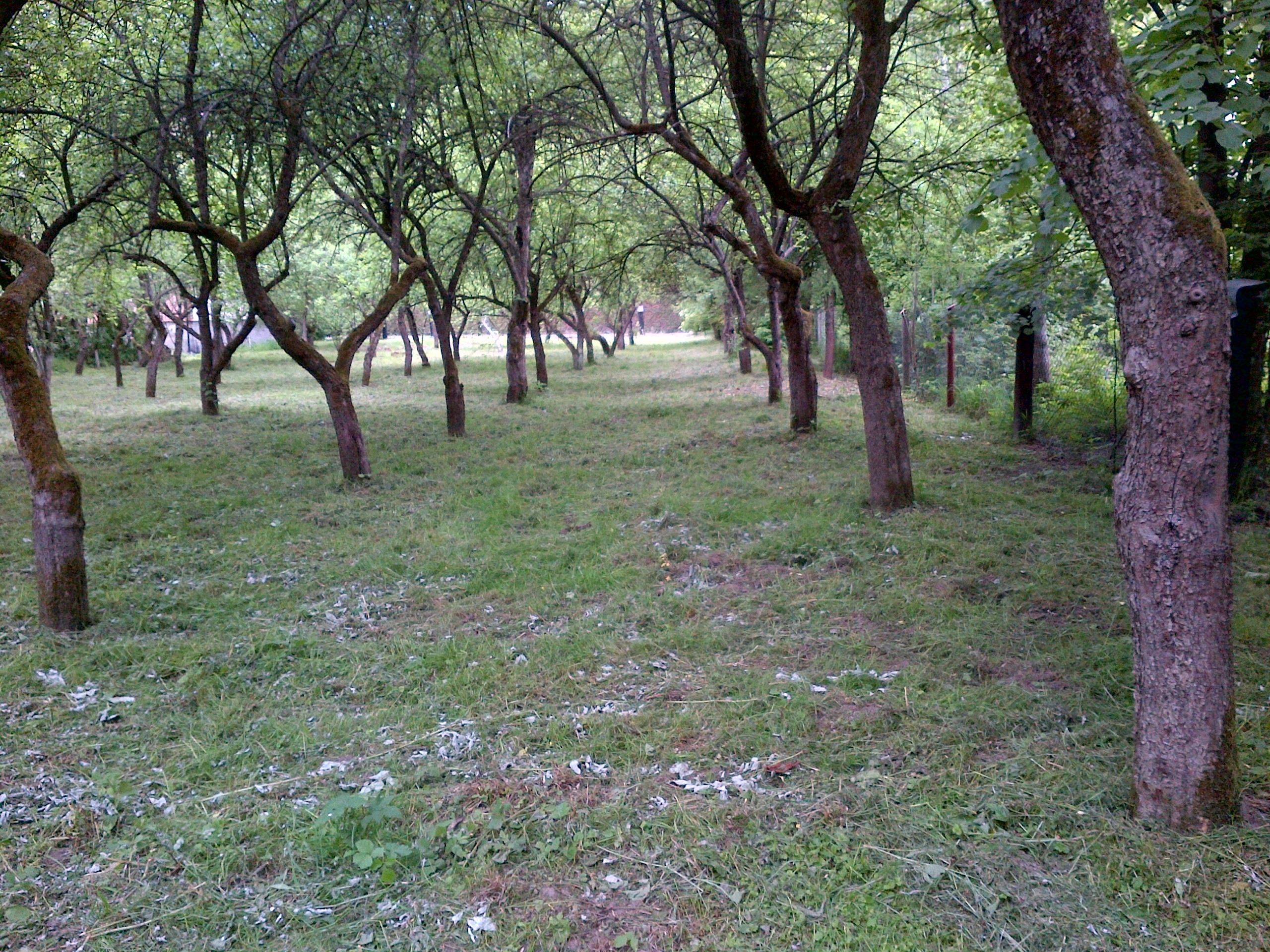 Działka Budowlana .Sprzedaż bez pośrednika