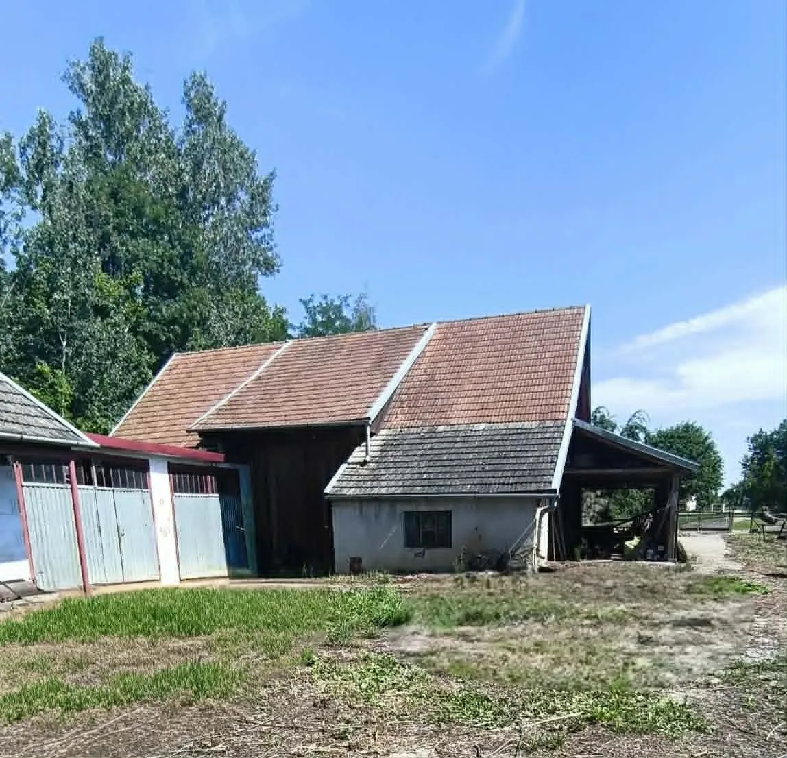 Zdjęcie 11