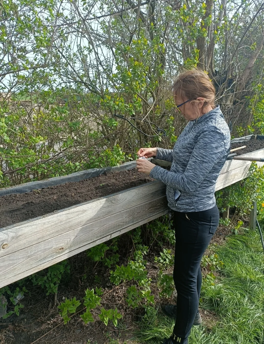 Siedlisko, drzewa owocowe, żyzna gleba, pozwolenie na rozbudowę 3 budynków