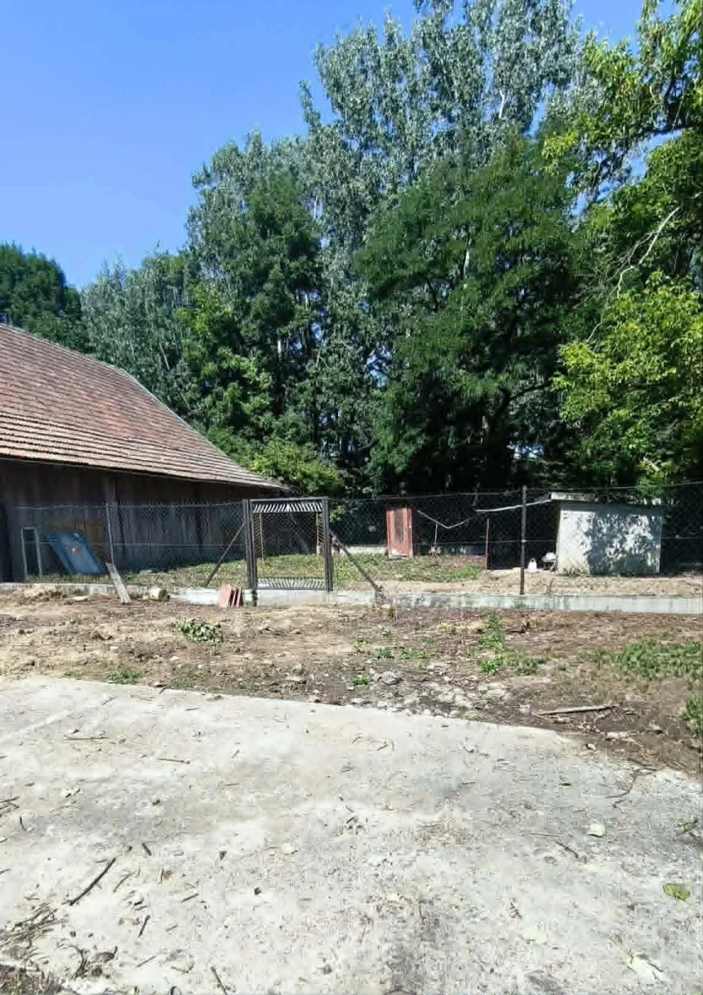 Zdjęcie 10
