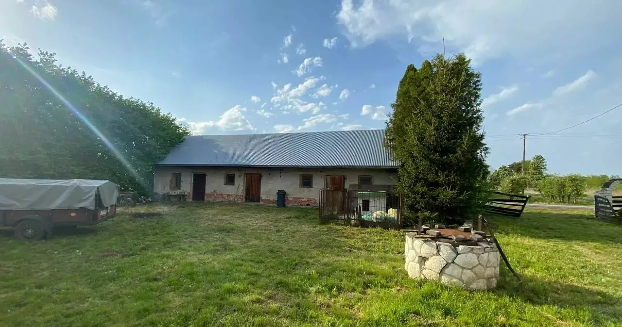 Zdjęcie 9