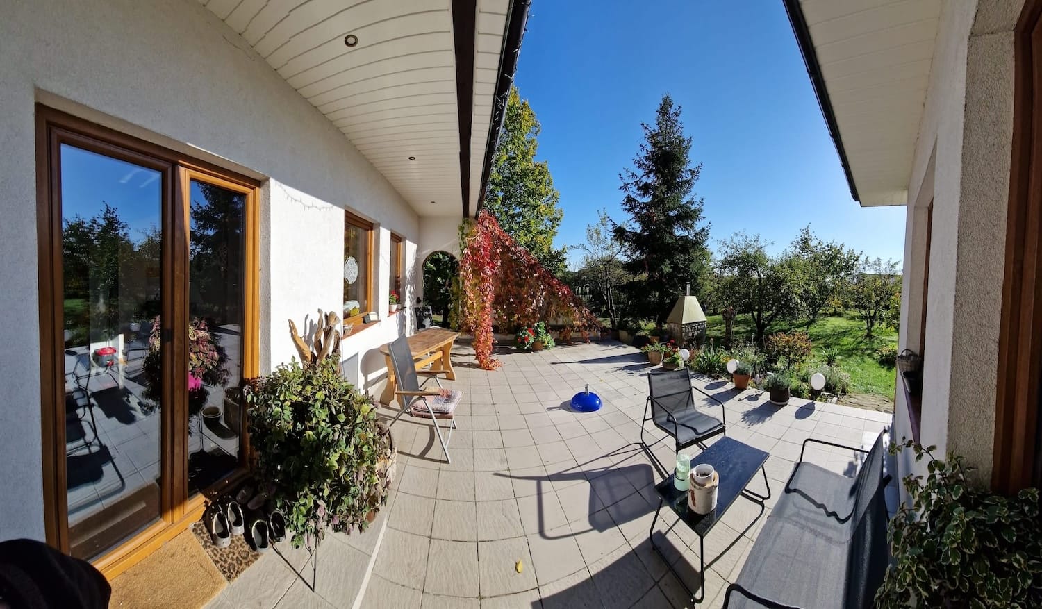 Duży dom w sadzie + działka 5500m