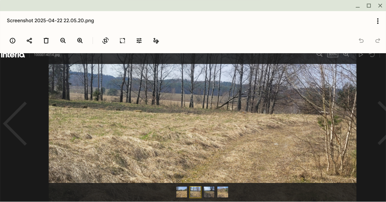 Duża Działka budowlana z małym własnym parkiem