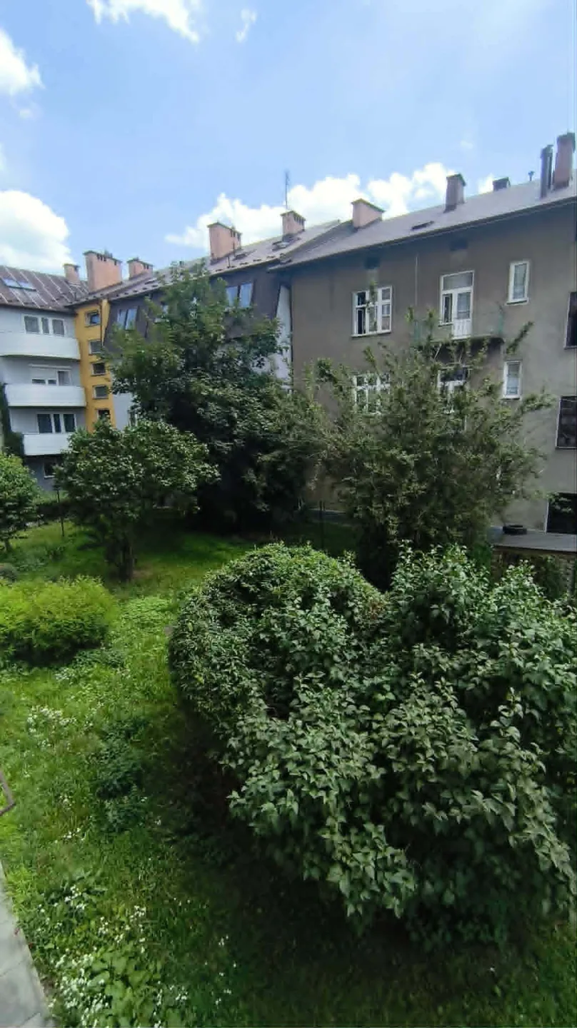 Zdjęcie 14