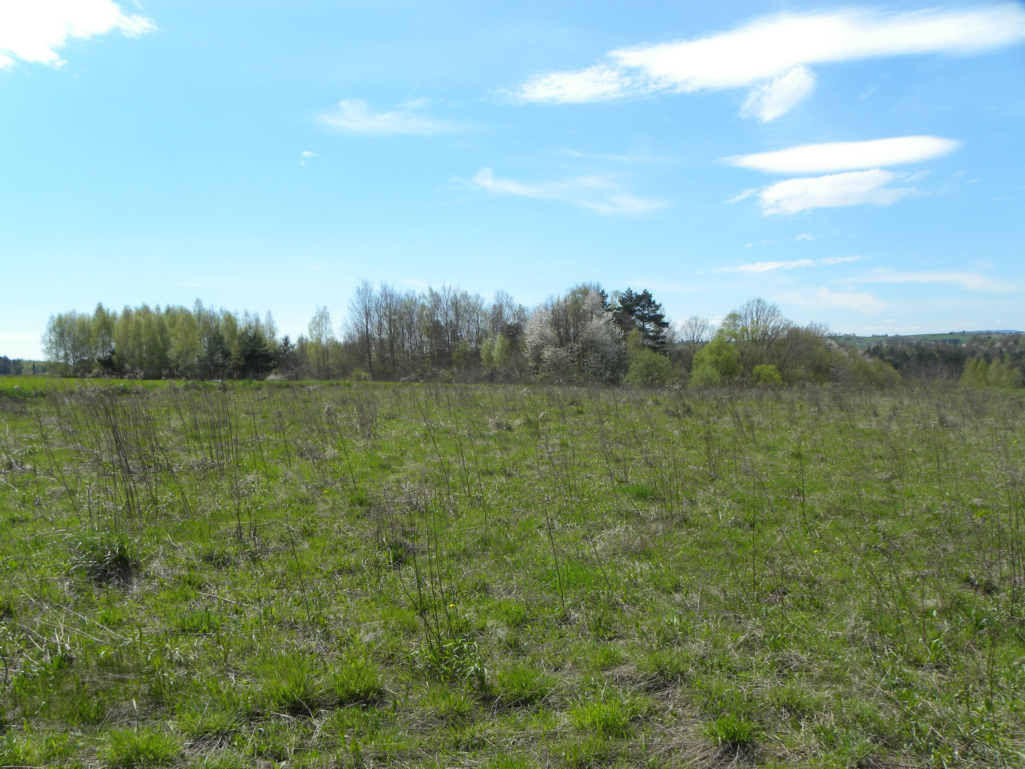 Rożnowice, działka budowlana 19 a, 997S/2021