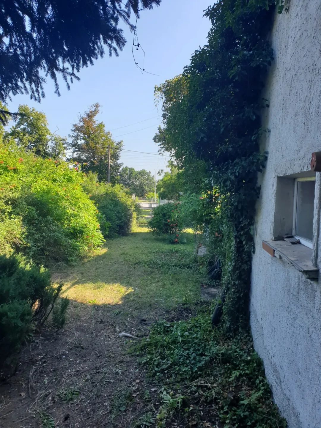 Zdjęcie 12
