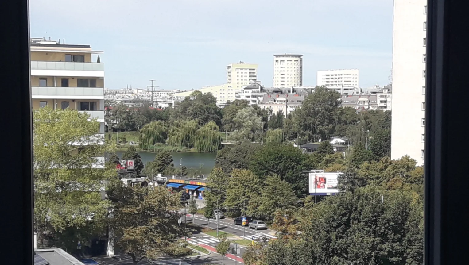 Zdjęcie 11