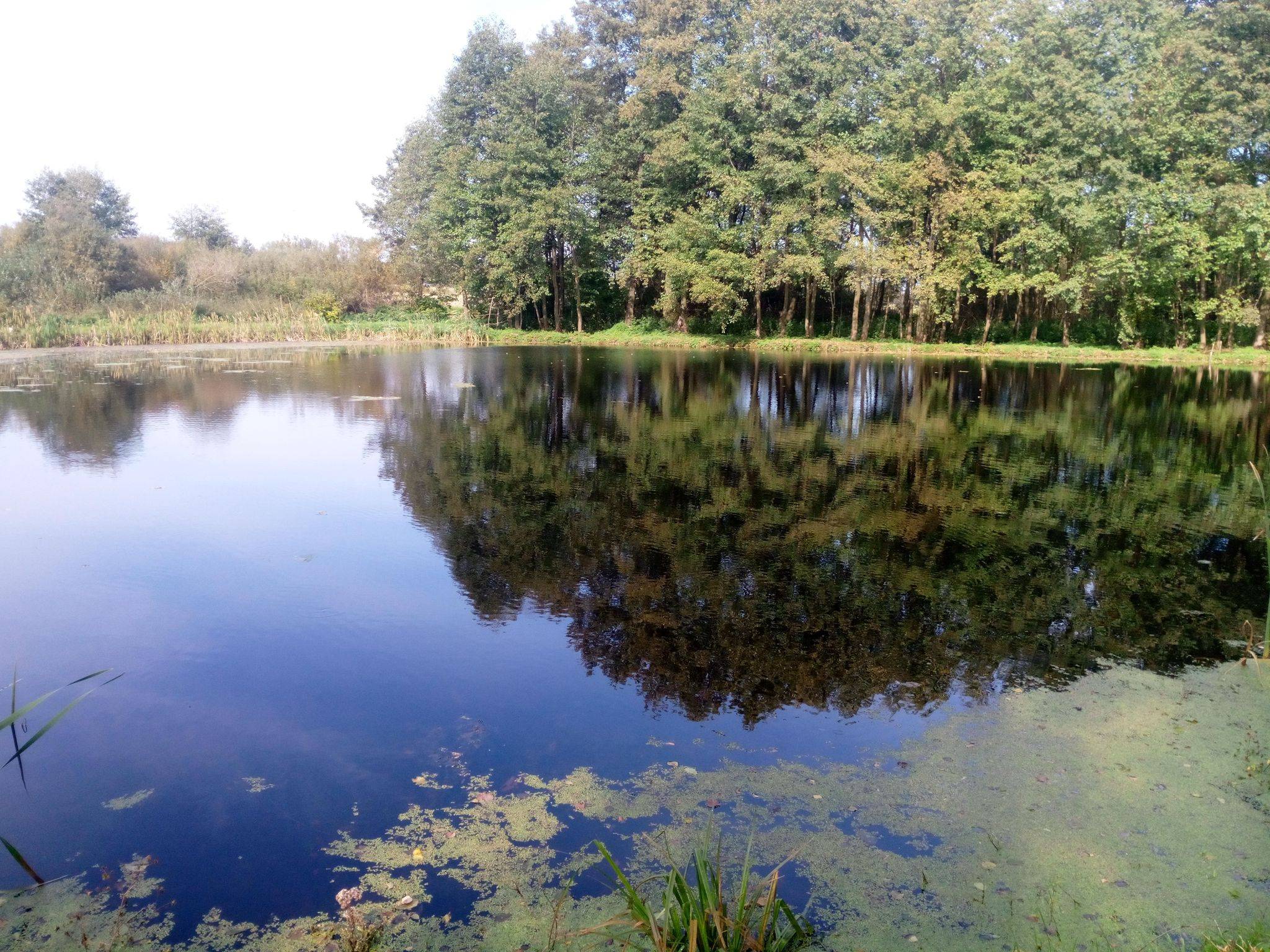 Dom z dużą działką prywatny staw las