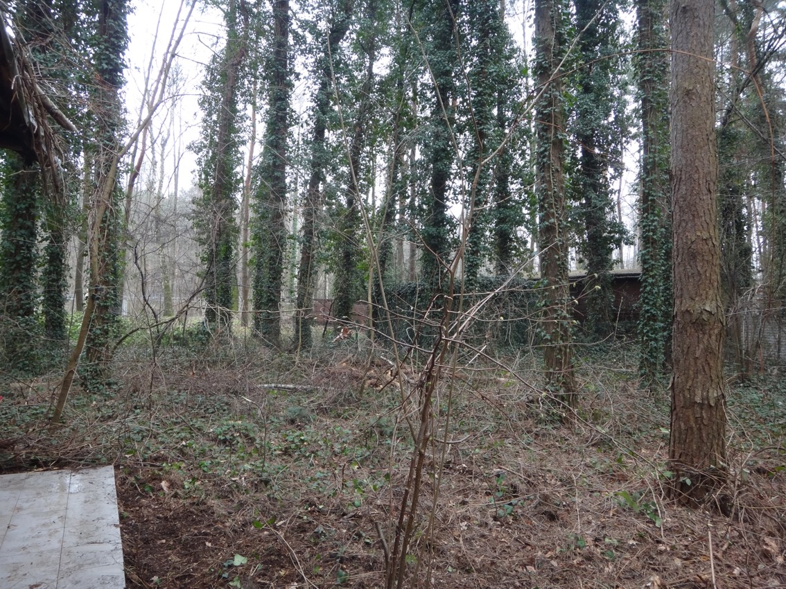 Działka nad Zalewem Zegrzyńskim 30km od Warszawy