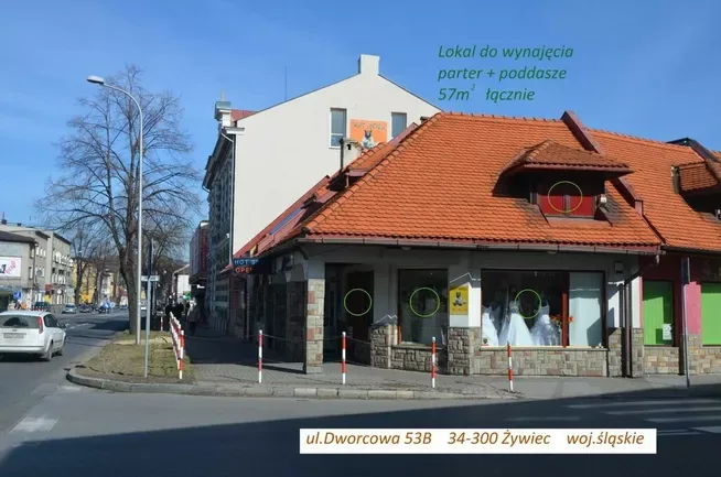 Zdjęcie 12