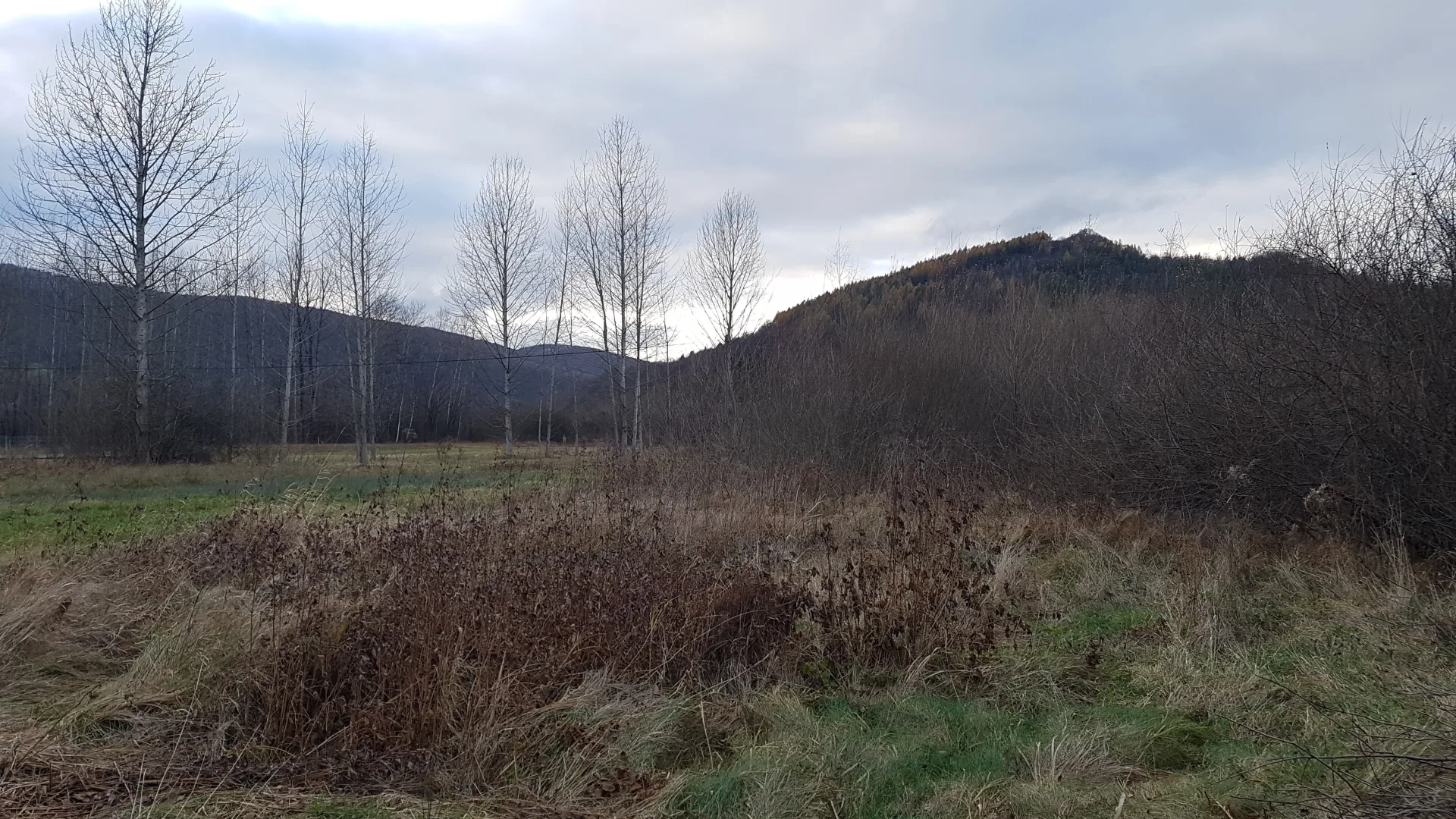 Uzbrojona działka w centrum Bóbrki obok Soliny, idealna pod parking!
