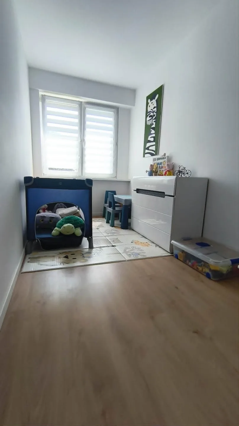 Zdjęcie 11