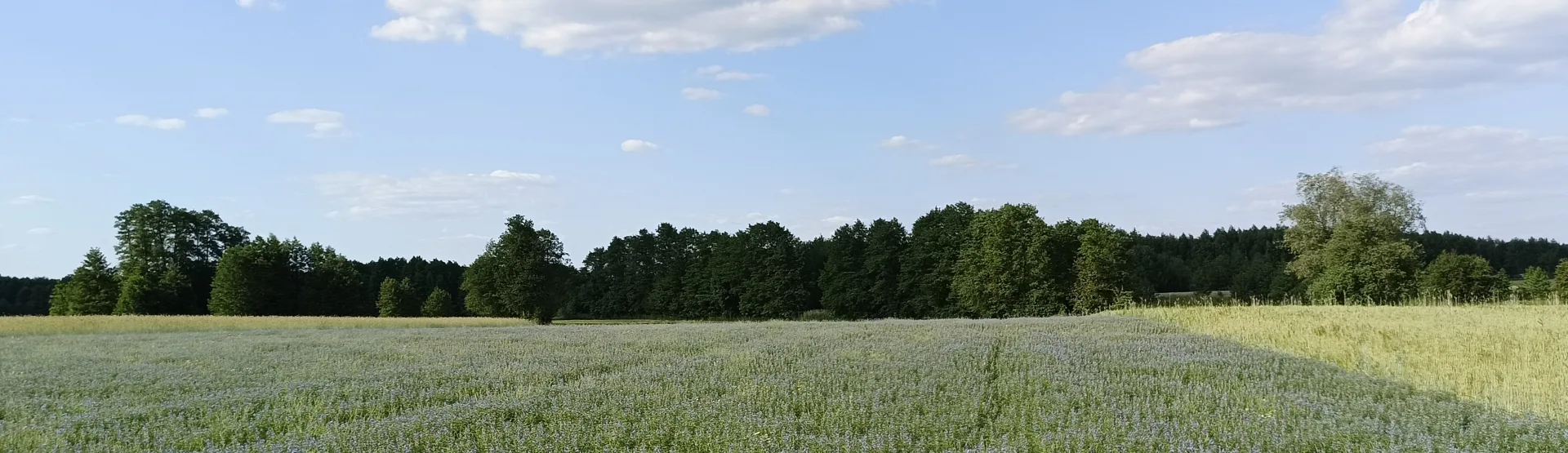 Działka w pięknej okolicy
