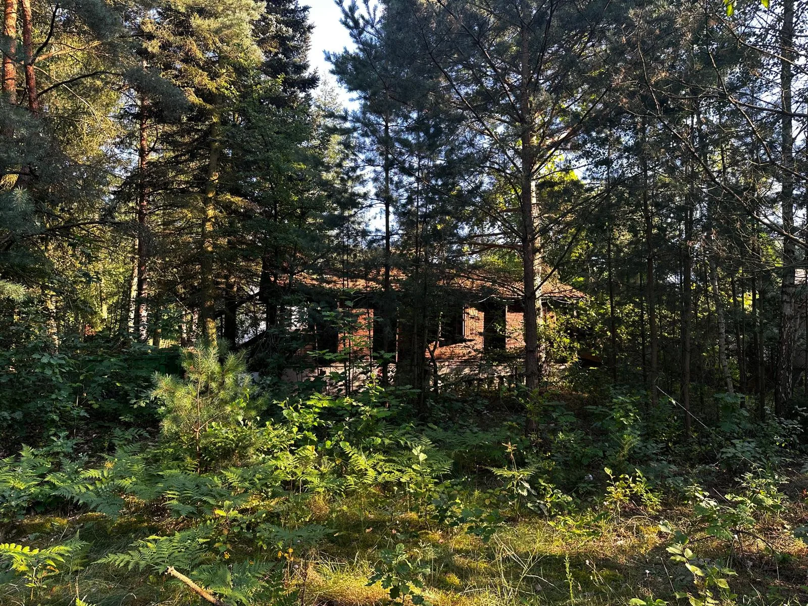 Poddębie, Działka na sprzedaż blisko Warszawy!! Dobra lokalizacja!!